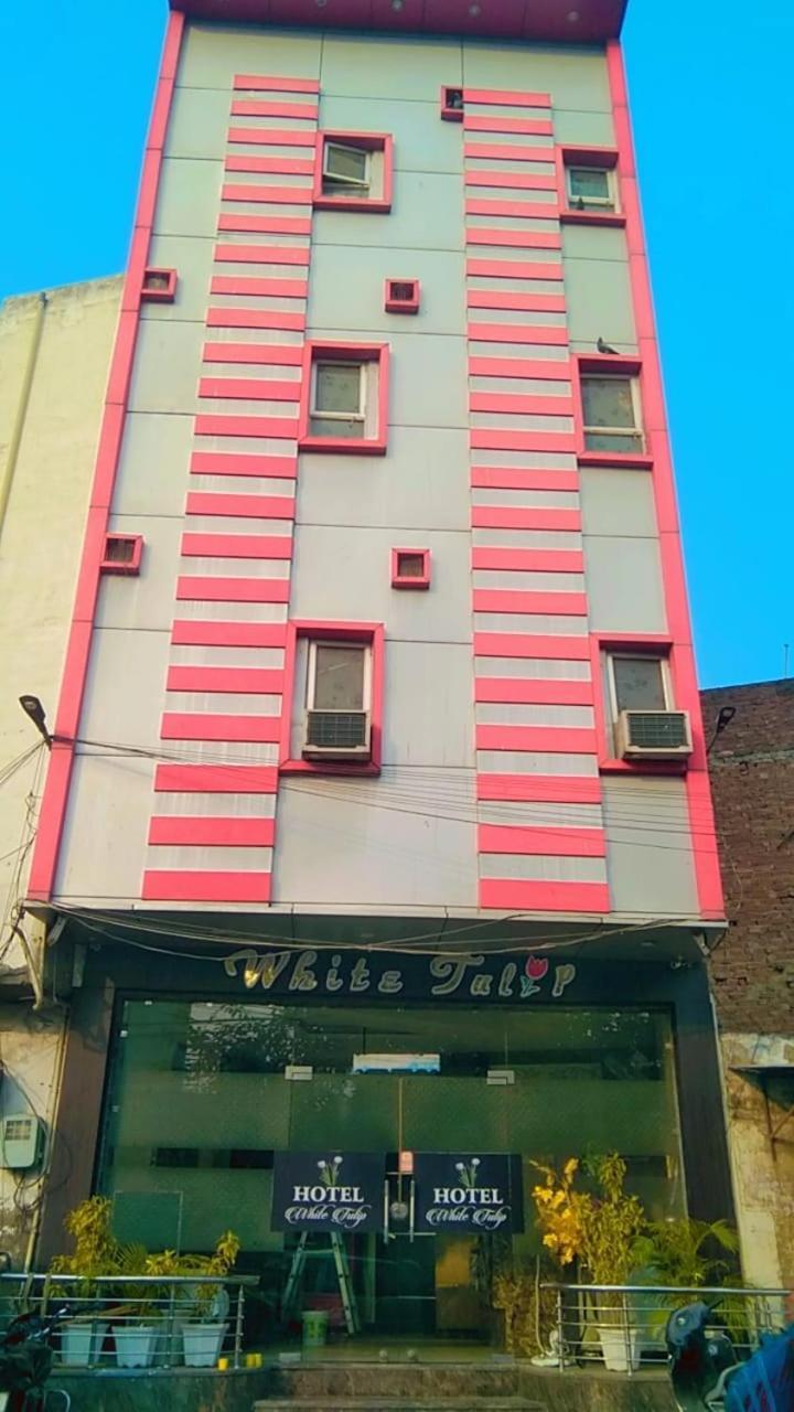 Hotel White Tulip Amritsar Bagian luar foto